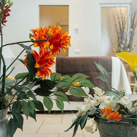 ألتامورا Il Claustro - Bed And Breakfast المظهر الخارجي الصورة